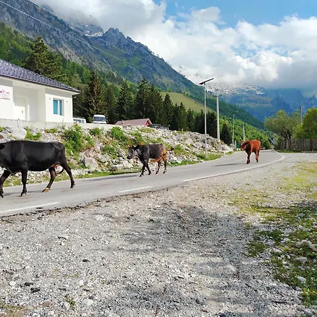 2 Bar Restaurant Camping Valbone